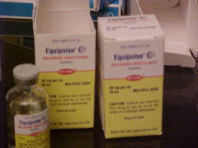Real pictures and images of Equipoise